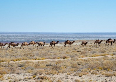 Aral sea discovery